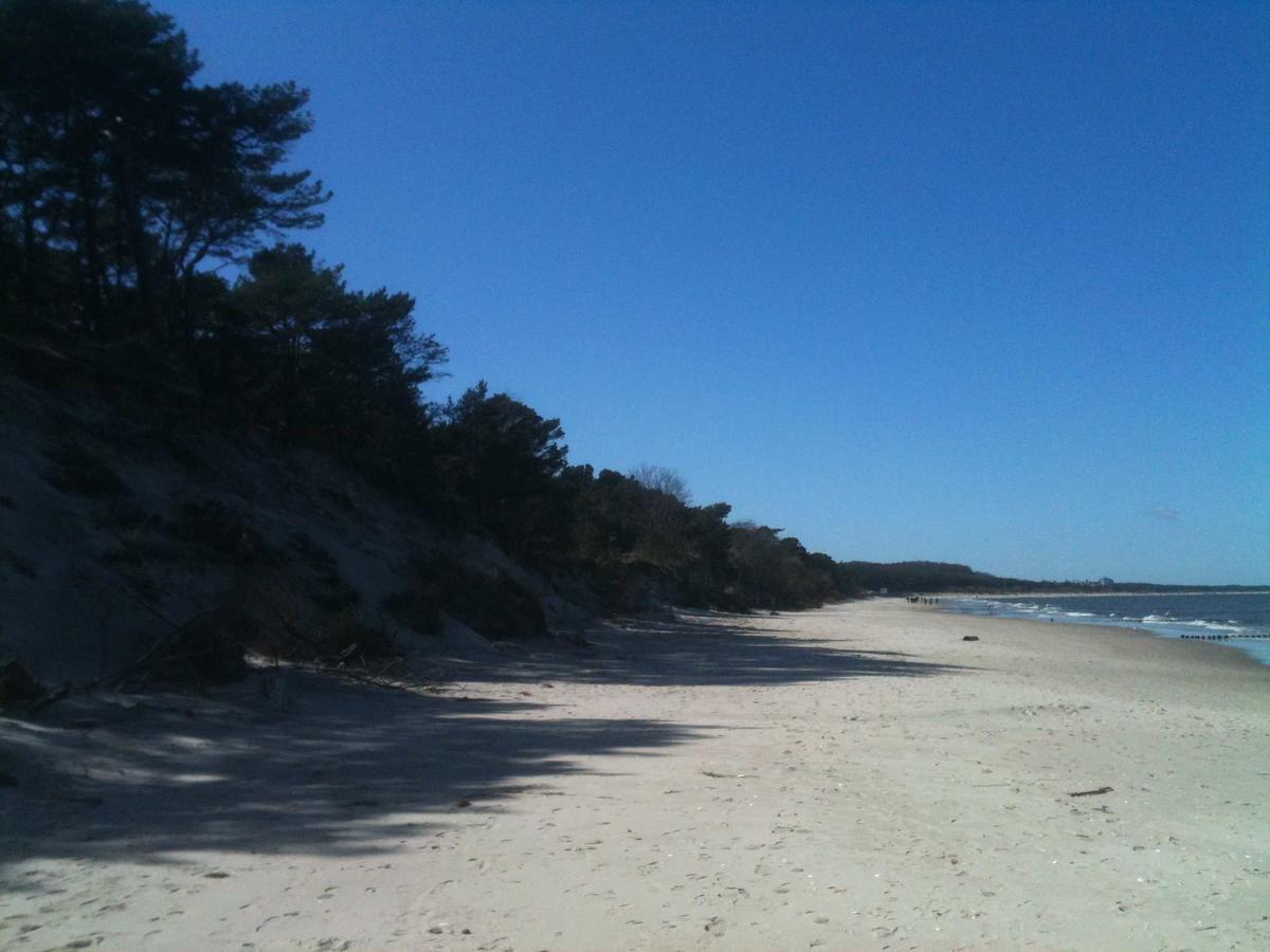 Zempin Ostseepark We 36 _Insel Use מראה חיצוני תמונה